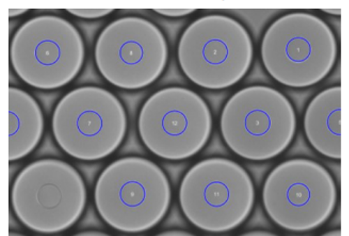 DNA droplets stored in a square capillary