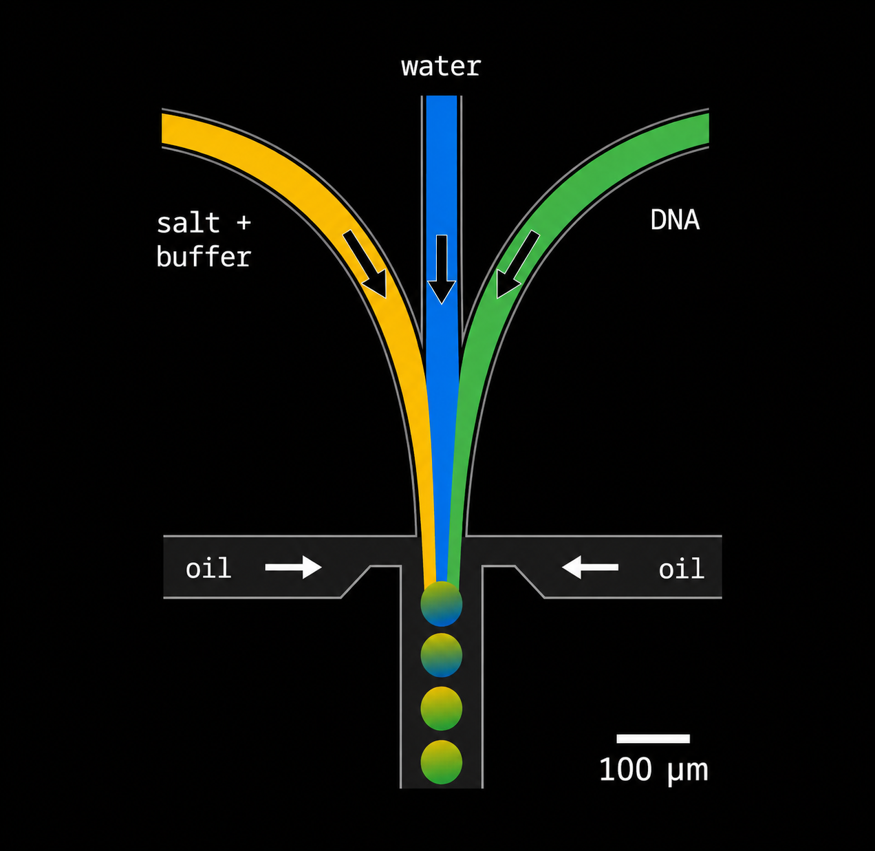 Cross-junction droplet generator: salt buffer, water, and DNA streams meet oil from side channels and break into monodisperse droplets